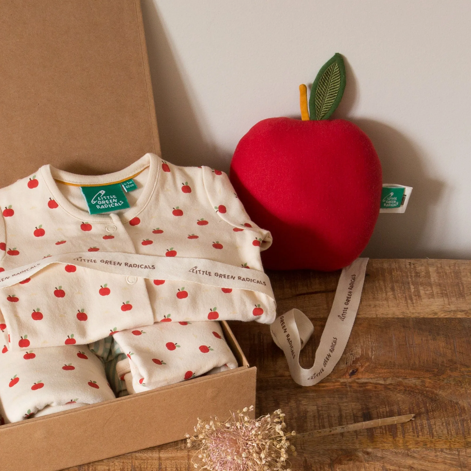 Apple Of My Eye Organic Baby Body